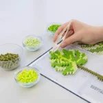 Perler 3D Monstera Plant Fused Bead Activity Kit - Image 2